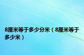 8厘米等于多少分米（8厘米等于多少米）