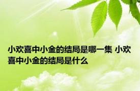 小欢喜中小金的结局是哪一集 小欢喜中小金的结局是什么