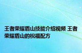 王者荣耀盾山技能介绍视频 王者荣耀盾山的祝福配方