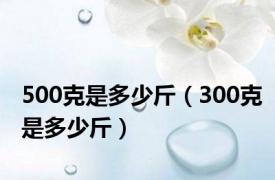 500克是多少斤（300克是多少斤）