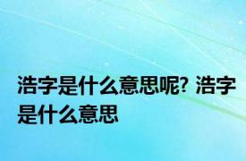 浩字是什么意思呢? 浩字是什么意思