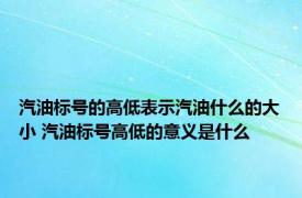 汽油标号的高低表示汽油什么的大小 汽油标号高低的意义是什么