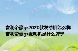 吉利帝豪gs2020款发动机怎么样 吉利帝豪gs发动机是什么牌子