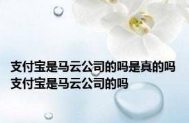 支付宝是马云公司的吗是真的吗 支付宝是马云公司的吗