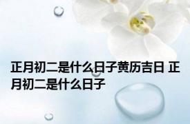 正月初二是什么日子黄历吉日 正月初二是什么日子