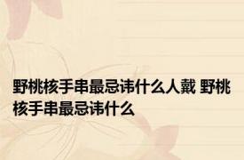 野桃核手串最忌讳什么人戴 野桃核手串最忌讳什么