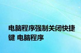 电脑程序强制关闭快捷键 电脑程序 