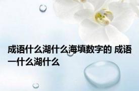 成语什么湖什么海填数字的 成语一什么湖什么