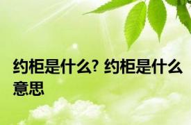 约柜是什么? 约柜是什么意思