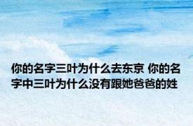 你的名字三叶为什么去东京 你的名字中三叶为什么没有跟她爸爸的姓