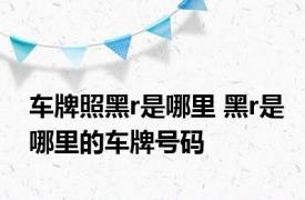 车牌照黑r是哪里 黑r是哪里的车牌号码