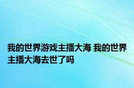 我的世界游戏主播大海 我的世界主播大海去世了吗