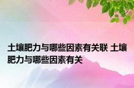 土壤肥力与哪些因素有关联 土壤肥力与哪些因素有关