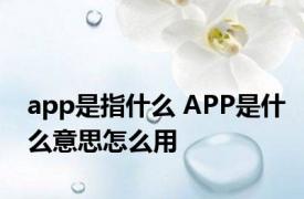 app是指什么 APP是什么意思怎么用