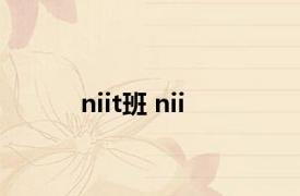 niit班 nii 