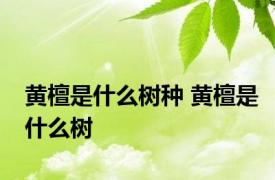 黄檀是什么树种 黄檀是什么树