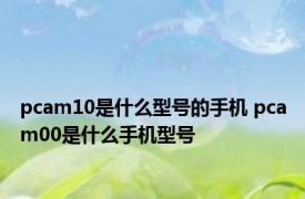 pcam10是什么型号的手机 pcam00是什么手机型号