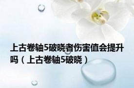 上古卷轴5破晓者伤害值会提升吗（上古卷轴5破晓）