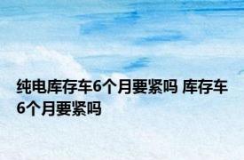 纯电库存车6个月要紧吗 库存车6个月要紧吗