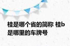 桂是哪个省的简称 桂b是哪里的车牌号