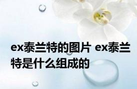 ex泰兰特的图片 ex泰兰特是什么组成的