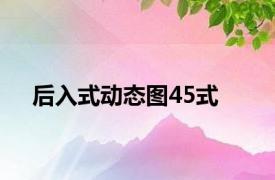 后入式动态图45式