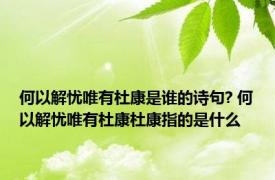 何以解忧唯有杜康是谁的诗句? 何以解忧唯有杜康杜康指的是什么