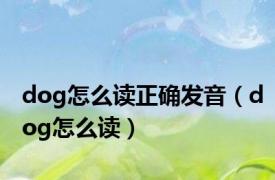 dog怎么读正确发音（dog怎么读）