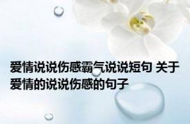 爱情说说伤感霸气说说短句 关于爱情的说说伤感的句子