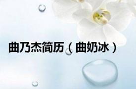 曲乃杰简历（曲奶冰）