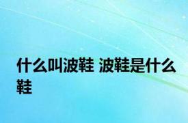 什么叫波鞋 波鞋是什么鞋