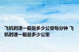 飞机时速一般是多少公里每分钟 飞机时速一般是多少公里