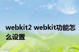 webkit2 webkit功能怎么设置