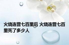 火烧连营七百里后 火烧连营七百里死了多少人