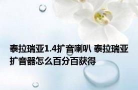 泰拉瑞亚1.4扩音喇叭 泰拉瑞亚扩音器怎么百分百获得