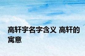 高轩宇名字含义 高轩的寓意