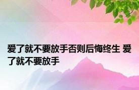 爱了就不要放手否则后悔终生 爱了就不要放手 