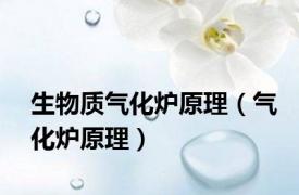 生物质气化炉原理（气化炉原理）