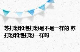 苏打粉和泡打粉是不是一样的 苏打粉和泡打粉一样吗