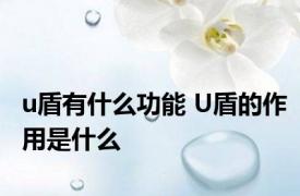 u盾有什么功能 U盾的作用是什么