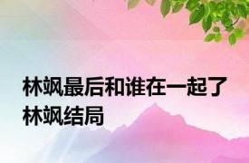 林飒最后和谁在一起了 林飒结局