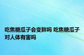 吃焦糖瓜子会变胖吗 吃焦糖瓜子对人体有害吗