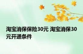 淘宝消保保险30元 淘宝消保30元开通条件