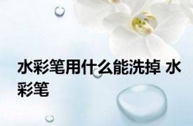 水彩笔用什么能洗掉 水彩笔 