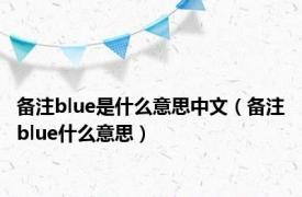 备注blue是什么意思中文（备注blue什么意思）