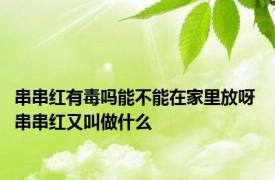 串串红有毒吗能不能在家里放呀 串串红又叫做什么