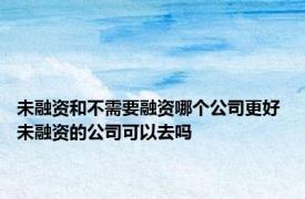 未融资和不需要融资哪个公司更好 未融资的公司可以去吗