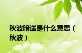 秋波暗送是什么意思（秋波）