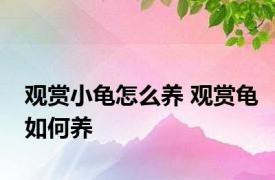 观赏小龟怎么养 观赏龟如何养