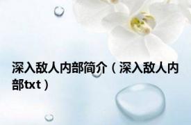 深入敌人内部简介（深入敌人内部txt）